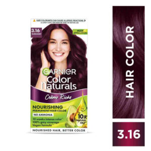 Garnier Hair Colour Burgundy 3.16 No 65ml