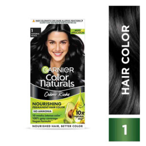 Garnier Hair Colour Black 1 No 65ml